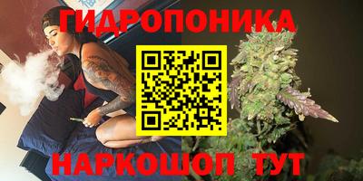 a pvp Краснокаменск