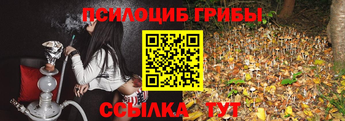 Псилоцибиновые грибы Psilocybe  Псилоцибиновые грибы ЛСД  Якутск  Вход с VPN 